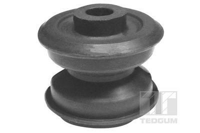 TEDGUM Variklio montavimas