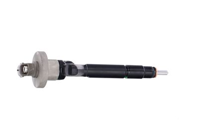 INJECTOR REMANTE 002003000191R 38