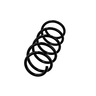 ARC SPIRAL EIBACH R10116 2