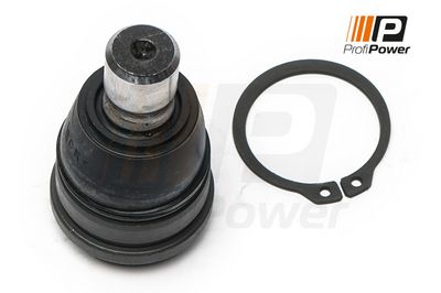 Šarnyras / girgždukas 2S0023 ProfiPower