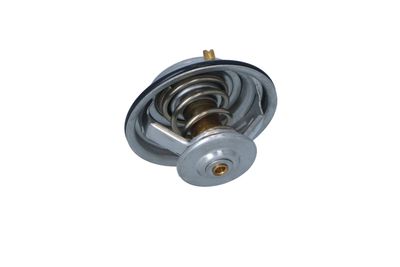 TERMOSTAT LICHID RACIRE NRF 725075 25