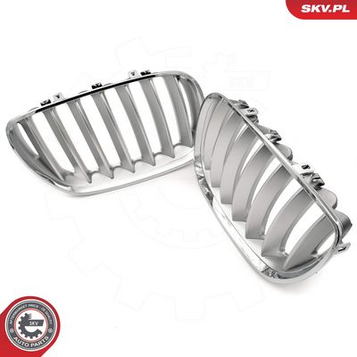 GRILA RADIATOR ESEN SKV 66SKV279 2