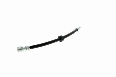 FURTUN FRANA VAICO V104191 4