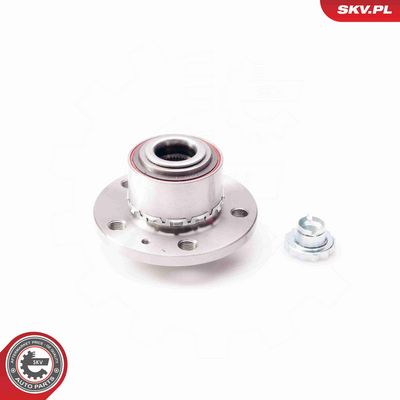 SET RULMENT ROATA ESEN SKV 29SKV005 1