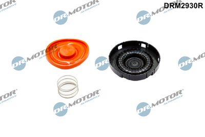 MEMBRANA AERISIRE CARCASA ARBORE COTIT