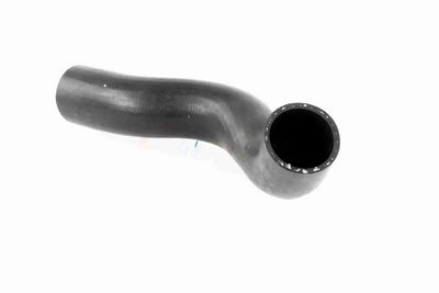 FURTUN EAR SUPRAALIMENTARE ACKOJA A380307 2