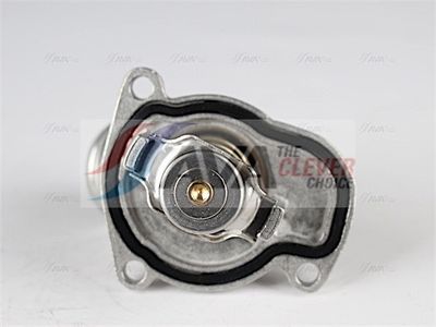 TERMOSTAT LICHID RACIRE AVA Clever Choice OLTS003 3