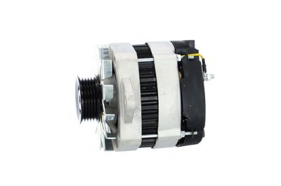 GENERATOR / ALTERNATOR REMANTE 011003000081R 14