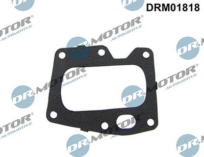 Těsnění, AGR ventil LIZARTE DRM01818