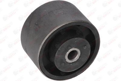 SUPORT MOTOR BIRTH 5610 6