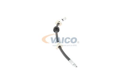 FURTUN FRANA VAICO V244100 37