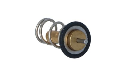 TERMOSTAT LICHID RACIRE NRF 725069 30
