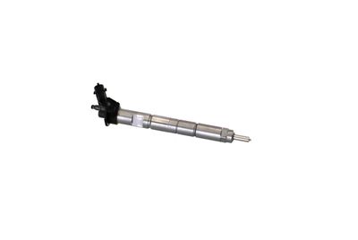 INJECTOR REMANTE 002003001368R 46