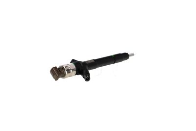 INJECTOR REMANTE 002003002091R 31
