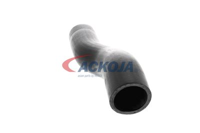 FURTUN EAR SUPRAALIMENTARE ACKOJA A529600 21