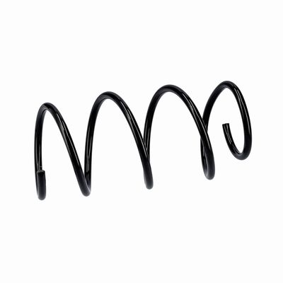 ARC SPIRAL EIBACH R10875 18