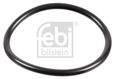 GARNITURA CARCASA CUTIE VITEZA - TRANSMISIE