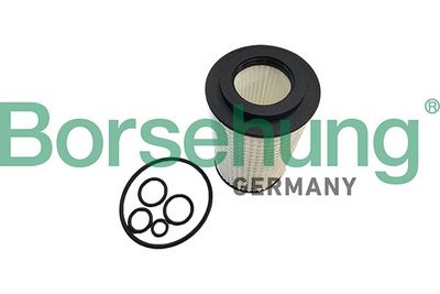 Borsehung Alyvos filtras