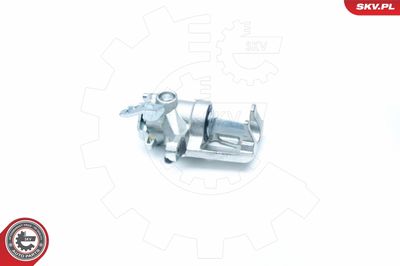 Brake Caliper 23SKV194