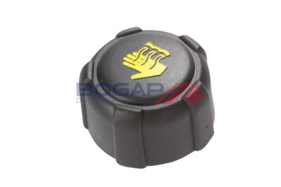 VAS DE EXPANSIUNE RACIRE BOGAP R4240144