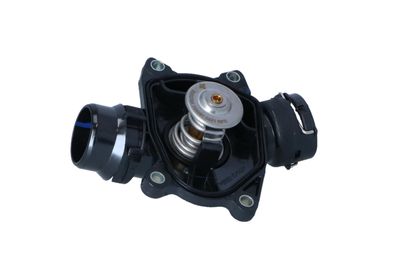 TERMOSTAT LICHID RACIRE NRF 725091 45