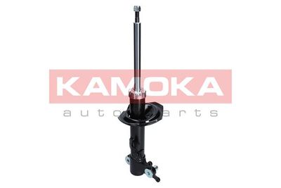 Shock Absorber 2000112