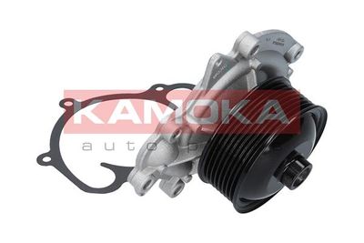 Water Pump, engine cooling T0191