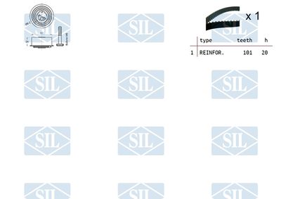 SET CUREA DE DISTRIBUTIE Saleri SIL TK1493 1