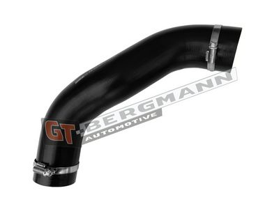 GT-BERGMANN Automotive - Hadica plniaceho vzduchu (hadica turba) FORD , GT52-842