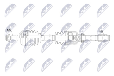 NPW-PE-141