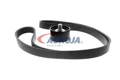 SET CUREA TRANSMISIE CU CANELURI ACKOJA A520515 41