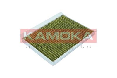 Filter, cabin air 6080011