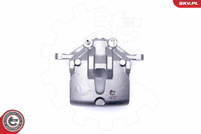 Brake Caliper 42SKV481