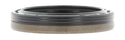 Shaft Seal, crankshaft 19036807B