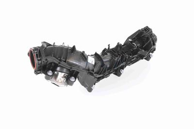 MODUL CONDUCTA ADMISIE VAICO V204556 8