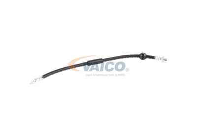 FURTUN FRANA VAICO V201908 57