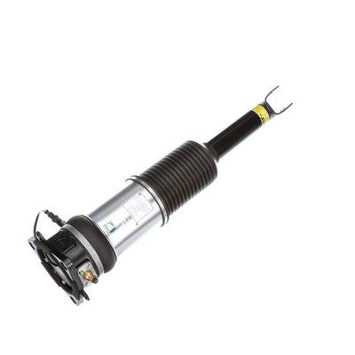 LUFTFEDERBEIN Arnott AS2959 73