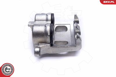 Brake Caliper 55SKV011