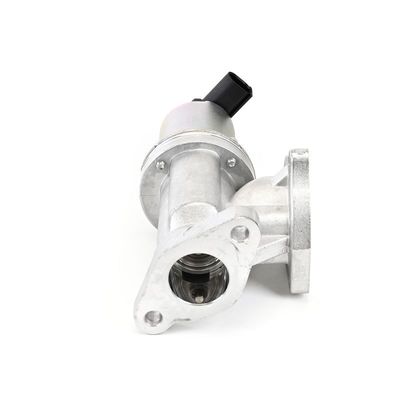 AGR-VENTIL DELPHI EG1044212B1 7