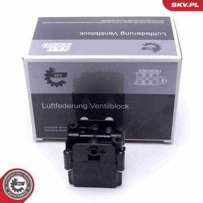 SUPAPA SISTEM SUPRAALIMENTARE ESEN SKV 93SKV814