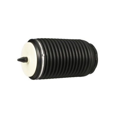 ARC PNEUMATIC DIRECTIE Arnott A3294 14