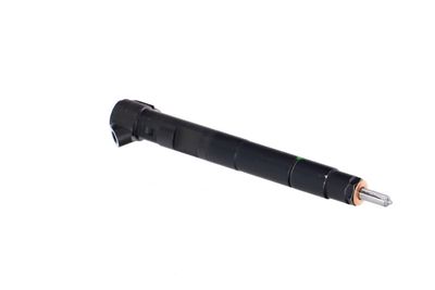 INJECTOR REMANTE 002003001143R 47