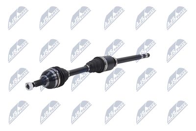 PLANETARA NTY NPWCT026 20