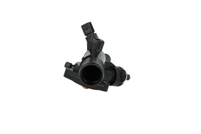 TERMOSTAT LICHID RACIRE NRF 725417 38