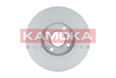 Brake Disc 103117