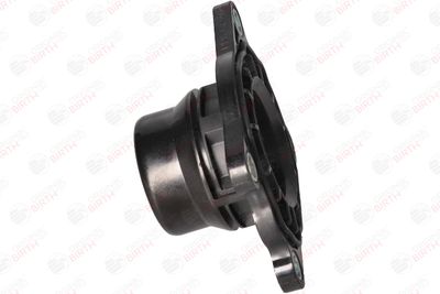 FLANSA LICHID RACIRE BIRTH 81798 4