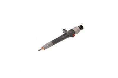INJECTOR REMANTE 002003002030R 8