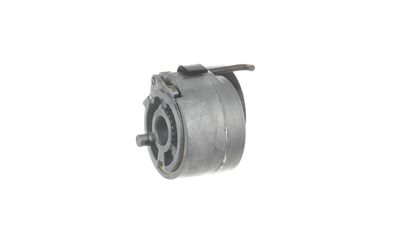 SPANNROLLE KEILRIPPENRIEMEN SKF VKMCV52013 13