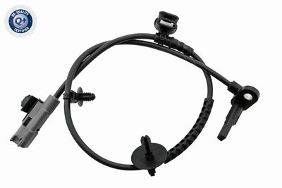 SENZOR TURATIE ROATA