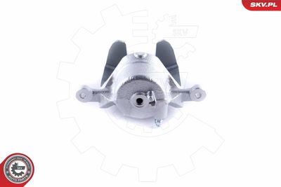 Brake Caliper 50SKV771